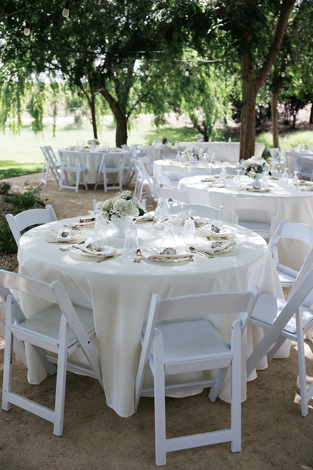 The Complete Guide to Planning a Wedding in Paso Robles, California